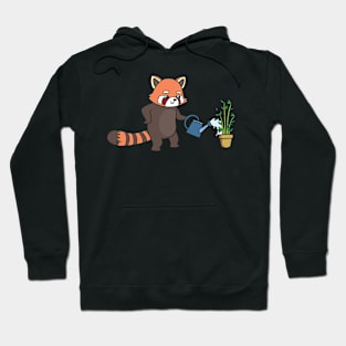 Red Panda gardens Hoodie